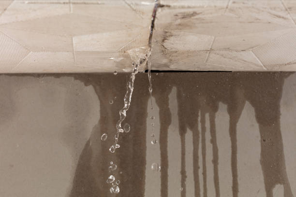 Professional Water Damage Restoration technician working in Logan, IA